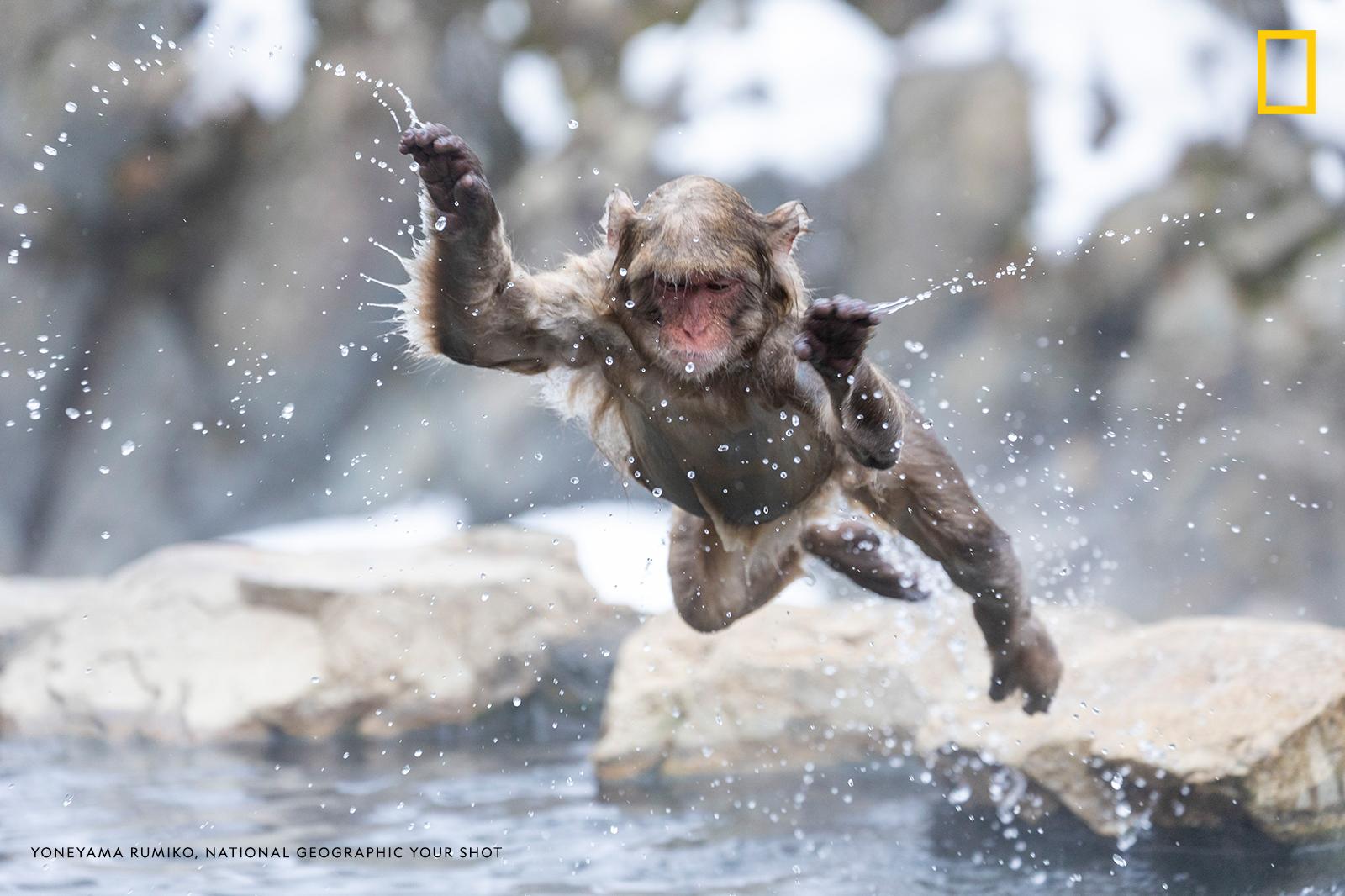 Help us caption this image by Your Shot photographer Yoneyama Rumiko: https://on.natgeo.com/2EXu22z